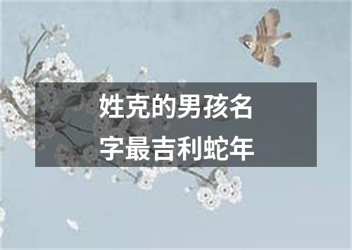 姓克的男孩名字最吉利蛇年