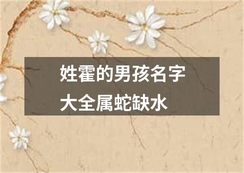 姓霍的男孩名字大全属蛇缺水