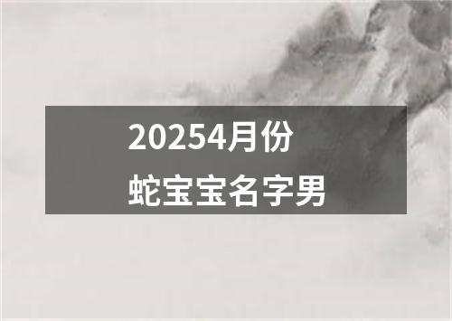 20254月份蛇宝宝名字男