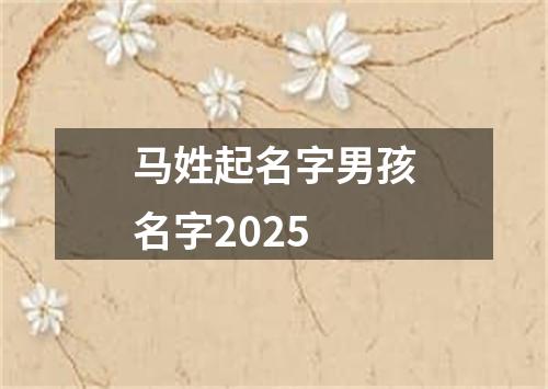 马姓起名字男孩名字2025