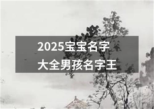 2025宝宝名字大全男孩名字王