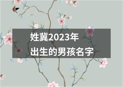 姓冀2023年出生的男孩名字