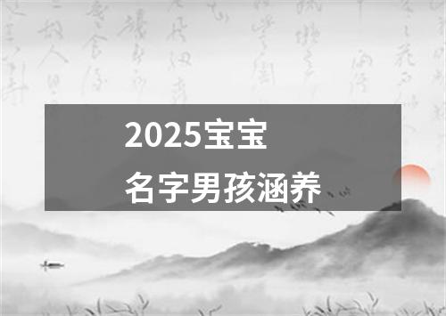 2025宝宝名字男孩涵养