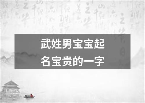 武姓男宝宝起名宝贵的一字