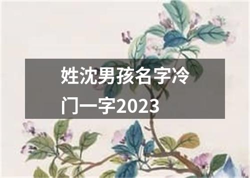 姓沈男孩名字冷门一字2023