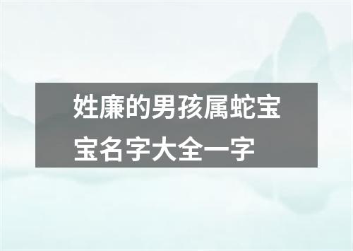 姓廉的男孩属蛇宝宝名字大全一字
