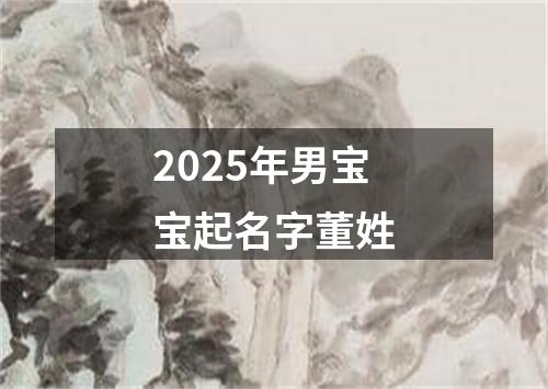2025年男宝宝起名字董姓