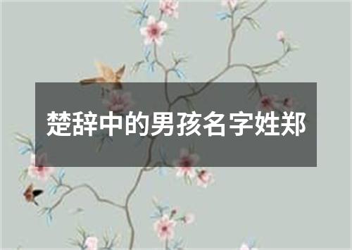 楚辞中的男孩名字姓郑