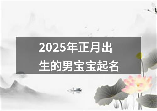 2025年正月出生的男宝宝起名