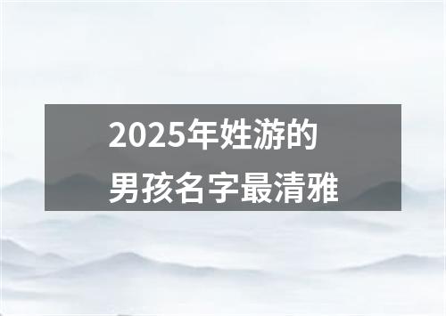 2025年姓游的男孩名字最清雅