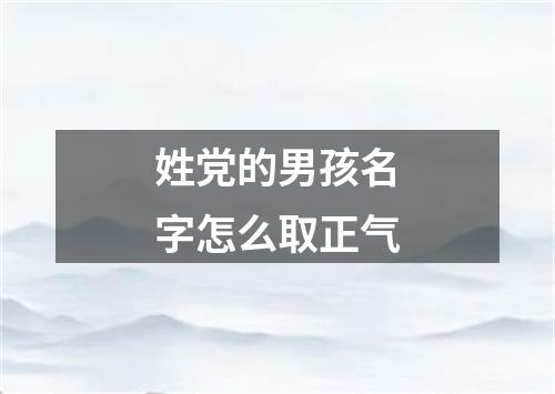 姓党的男孩名字怎么取正气
