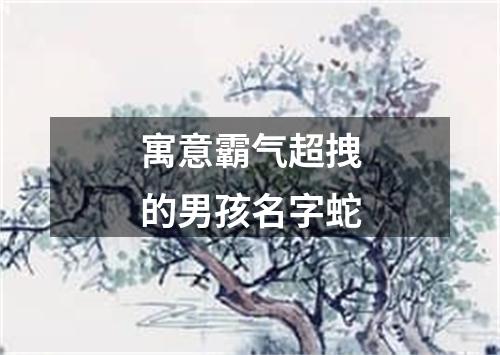 寓意霸气超拽的男孩名字蛇