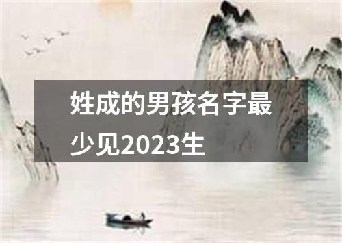 姓成的男孩名字最少见2023生