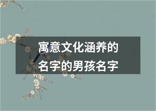 寓意文化涵养的名字的男孩名字