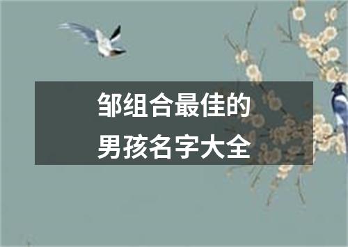 邹组合最佳的男孩名字大全