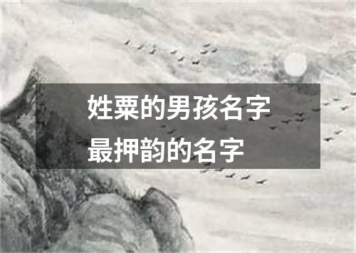 姓粟的男孩名字最押韵的名字