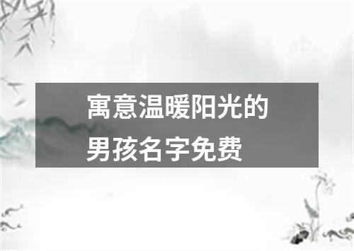 寓意温暖阳光的男孩名字免费
