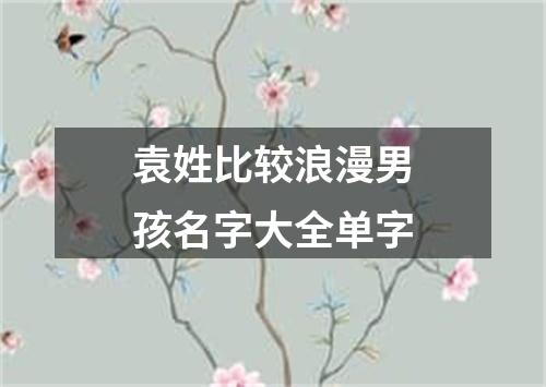 袁姓比较浪漫男孩名字大全单字