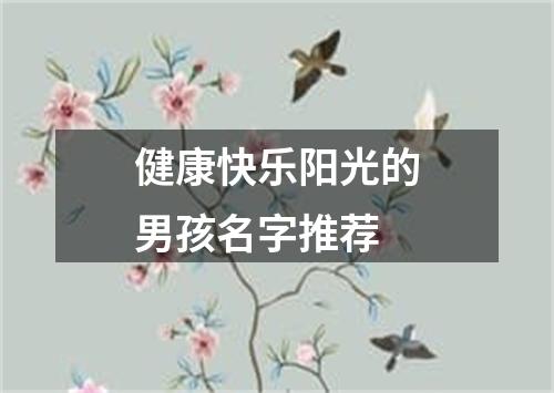 健康快乐阳光的男孩名字推荐