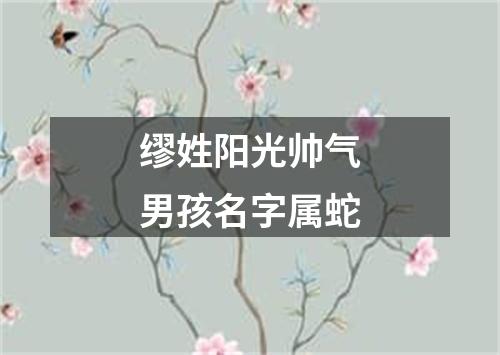 缪姓阳光帅气男孩名字属蛇