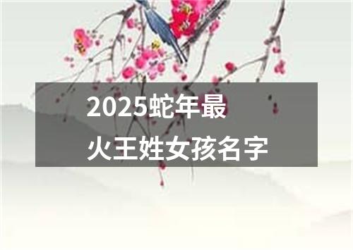 2025蛇年最火王姓女孩名字