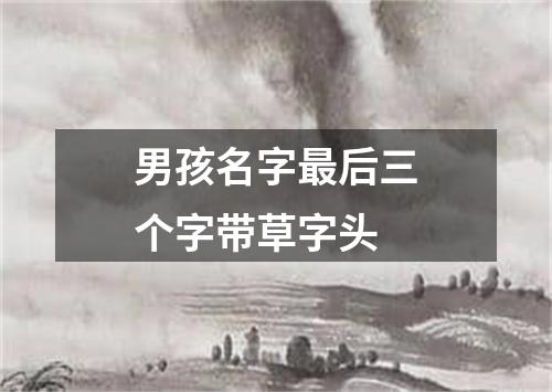 男孩名字最后三个字带草字头