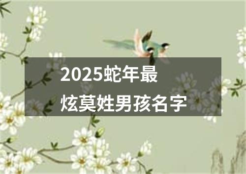 2025蛇年最炫莫姓男孩名字