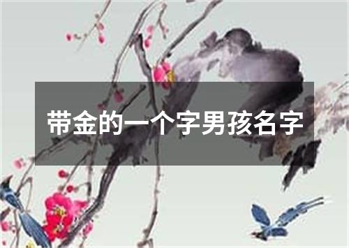 带金的一个字男孩名字