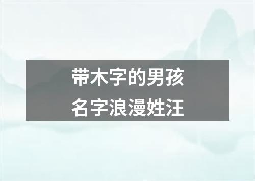 带木字的男孩名字浪漫姓汪