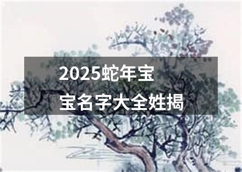 2025蛇年宝宝名字大全姓揭