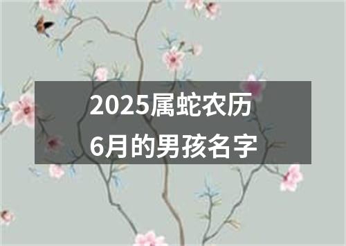 2025属蛇农历6月的男孩名字