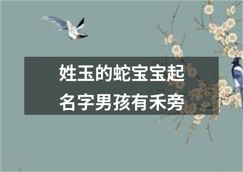 姓玉的蛇宝宝起名字男孩有禾旁