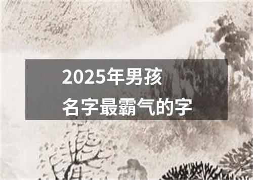 2025年男孩名字最霸气的字