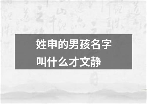 姓申的男孩名字叫什么才文静