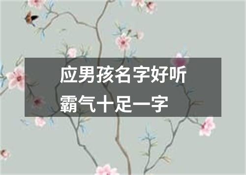 应男孩名字好听霸气十足一字