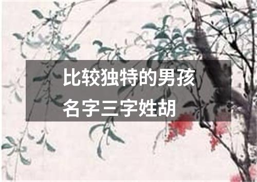 比较独特的男孩名字三字姓胡