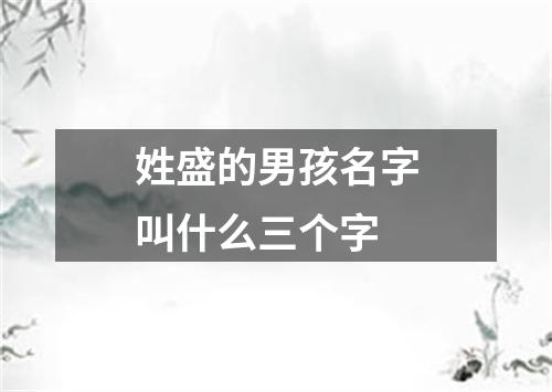 姓盛的男孩名字叫什么三个字