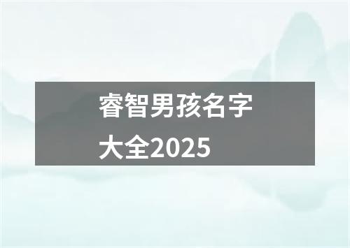 睿智男孩名字大全2025