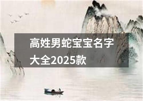高姓男蛇宝宝名字大全2025款