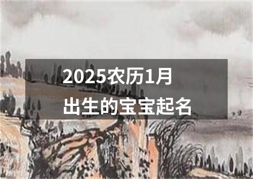 2025农历1月出生的宝宝起名