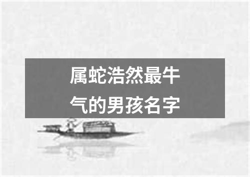 属蛇浩然最牛气的男孩名字