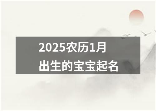 2025农历1月出生的宝宝起名