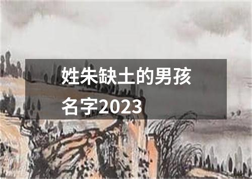 姓朱缺土的男孩名字2023