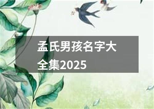 孟氏男孩名字大全集2025
