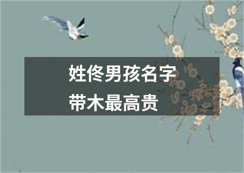 姓佟男孩名字带木最高贵