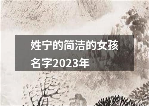 姓宁的简洁的女孩名字2023年