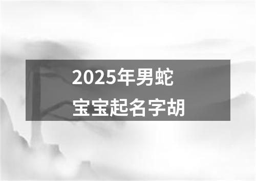 2025年男蛇宝宝起名字胡