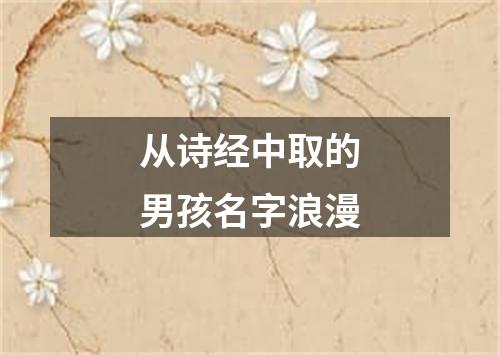 从诗经中取的男孩名字浪漫