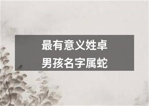 最有意义姓卓男孩名字属蛇