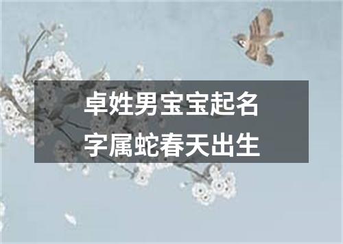 卓姓男宝宝起名字属蛇春天出生